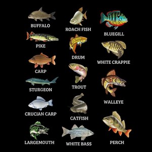 Tipi di specie di pesci d'acqua dolce PNG, design per maglietta da pesca, regalo per pescatore, arte della pesca al lago, illustrazione di un pescatore