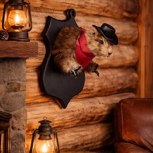 Pode incluir: Um castor taxidermizado usando um chapéu de cowboy preto e uma bandana vermelha, montado em uma placa preta. O castor está contra uma parede rústica de painéis de madeira, com uma lanterna acesa em uma prateleira próxima.