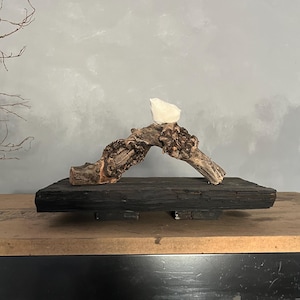 May include: A minimalist sculpture featuring a white, abstract form perched on a piece of weathered driftwood. The driftwood is mounted on a dark, rectangular base, creating a striking contrast. The natural textures and neutral colors evoke a sense of calm.