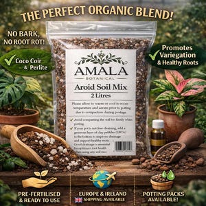 Może przedstawiać: Mieszanka glebowa do aroidów w przezroczystej torbie, 2 litry. Torba zawiera tekst "AMALA BOTANICAL" i "THE PERFECT ORGANIC BLEND!". Obraz przedstawia drewnianą szufelkę z ziemią, roślinę doniczkową oraz tekst "PRE-FERTILIZED & READY TO USE".