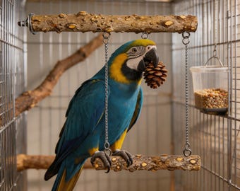 Natürliche stachelige Eschenholz Papageienschaukel Sitzstange | Zweistöckiger Vogelständer mit Pinecone Kauspielzeug | Käfigzubehör für kleine bis mittlere Papageien