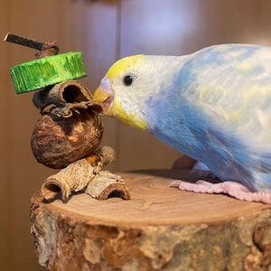 Natural Wood Parrot Perch with Chewing Toy | Bird Stand Platform with Foraging Toy | Cage Accessory for Small to Medium Parrots