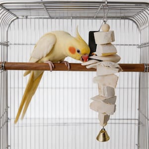 Handgefertigte natürliche Cuttlebone Papagei Kauspielzeug Schnur | Kalziumreiches Vogel Backenzahn Spielzeug mit Glocke | Käfig Zubehör für Wellensittiche Nymphensittiche Lovebirds