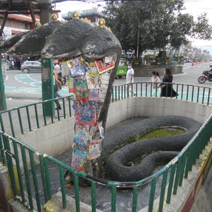 Snake God Pokhara Nepal - Photograph Wall Art