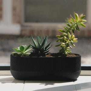 May include: A black rectangular planter with three different succulents. The planter has a textured, ribbed design. The succulents are green and yellow, with varying shapes and sizes. The planter sits on a white surface near a window.