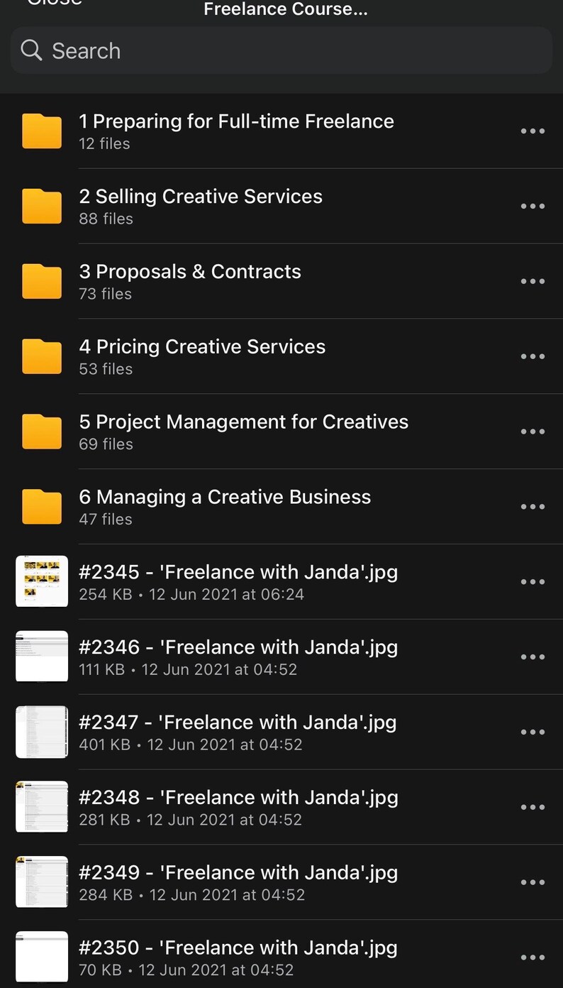 May include: A screenshot of a mobile app interface, featuring a "Freelance Course" with several modules, including "Preparing for Full-time Freelance" and "Selling Creative Services." Below are file names and dates, such as "#2345 - 'Freelance with Janda'.jpg."