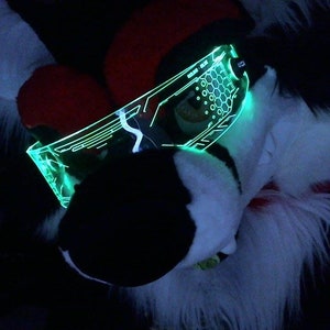 May include: A furry white and black head with a green glowing visor. The visor has a futuristic design with a honeycomb pattern.