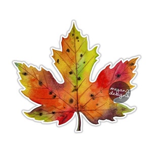 Fall Maple Leaf Sticker - Colorful Watercolor Art Autumn Laptop Decal Waterproof Car Tumbler Sticker Canada Canadian Leaf Original Art Print