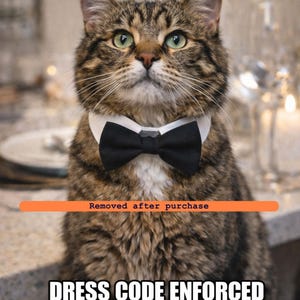 May include: A tabby cat wearing a black bow tie and a white collar, with the text "FORMAL DINNER GUEST" above and "DRESS CODE ENFORCED" below. An orange bar with text is across the middle of the image.