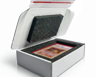 Gesorteerde kartonnen verzenddoos met 360 graden beschermend schuimrubberen inzetstuk - schokbestendige plaatposter en plaatverzendingsbeschermer voor verzending | Voorgemonteerd: