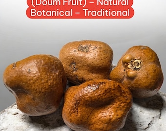 Dried “Adam’s Apple” Herb – Natural Material for Incense & Smudging