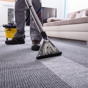 May include: A person using a carpet cleaner on a gray carpet. The cleaning head is in the foreground, showing the cleaned and uncleaned areas. A yellow bucket and a sofa are in the background.