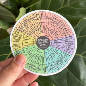 May include: A round sticker featuring an emotion-sensation wheel. The wheel is divided into sections with words like "happy," "sad," and "anger." The sticker has a white background and is held by a hand.