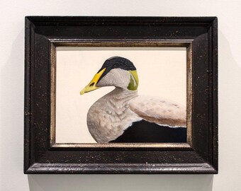 Eider común (2023) del artista neoyorquino Herb Smith (estadounidense, n. 1981)