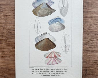 Grabado francés antiguo