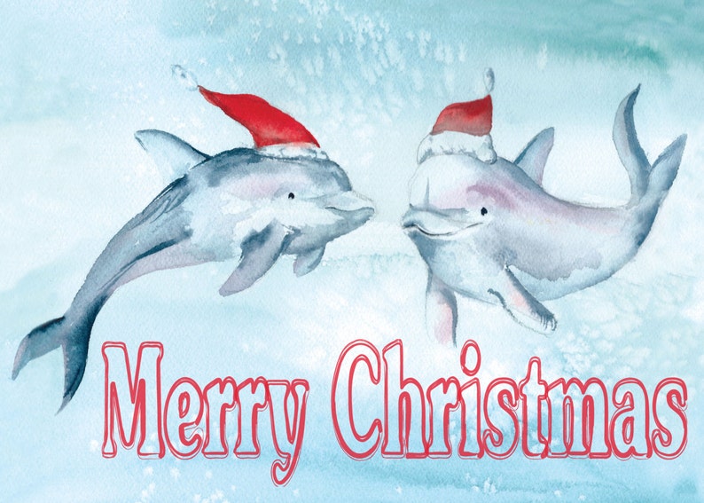 Dolphin Holiday Card by Dotty Reiman Dolphin Christmas Card | Etsy