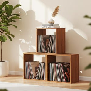 May include: Two wooden cube shelves stacked, filled with vinyl records. A potted fiddle-leaf fig tree stands to the left. A small vase with dried flowers and books are on top of the upper shelf. The text "LATE TO LIVE" is visible on one book.