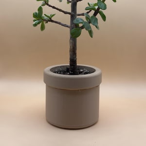 2 Piece Pot and Drain - 3D Printed Flower Pot - Small Indoor Planter with Drainage