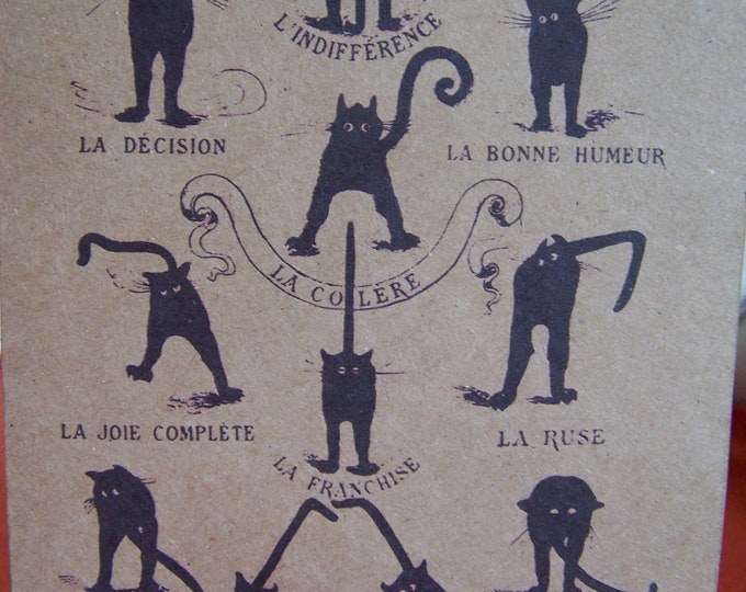 Chat Domestique Black Cat  Set of ANY 3 Greeting Note Cards Invitation Kraft Cardstock with matching envelopes 5 x 7"