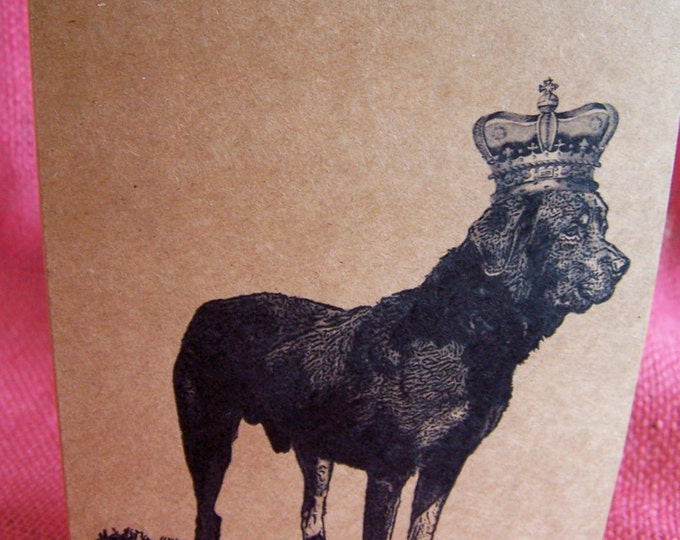 Rottweiler Dog With Crown Set of ANY 3 Greeting Note Cards Invitations Kraft Cardstock with matching envelopes 5 x 7"