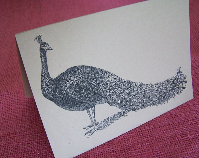Elegant Peacock SET OF ANY 3 Greeting Note Cards Invitations Kraft Cardstock with matching envelopes 5 x 7"