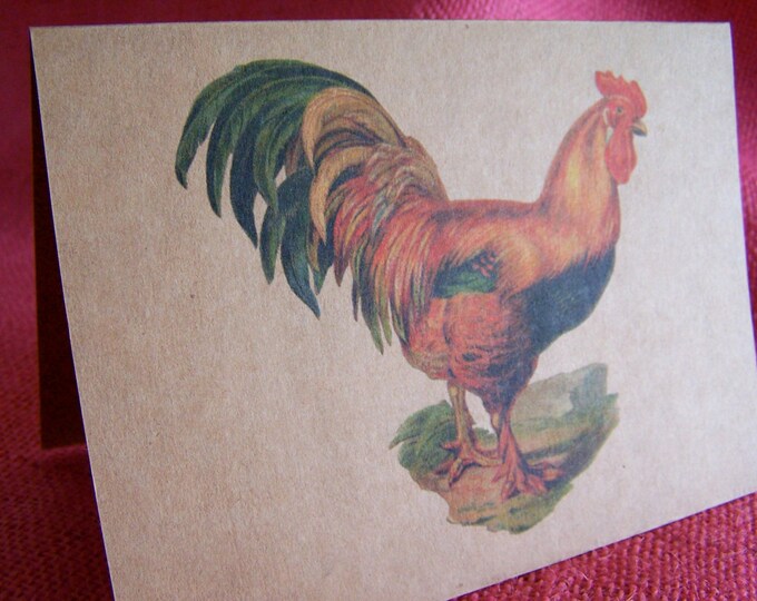 Colorful Vintage Rooster  Set of ANY 3 Greeting Note Cards Invitations Kraft Cardstock matching envelopes 5 x 7"