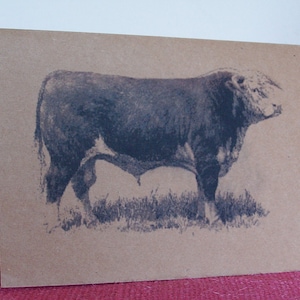 Western Hereford Bull, 3 cartes de vœux, papier cartonné kraft brun recyclé avec enveloppes assorties 5 x 7 po.