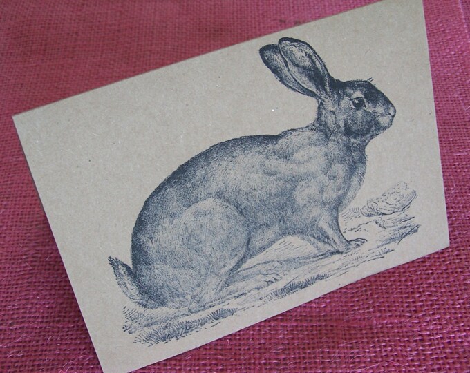 Set of ANY 3 Cottontail Bunny Rabbit Easter Greeting Note Cards printed on Brown Recycled Kraft Cardstock with matching envelope 5 x 7"