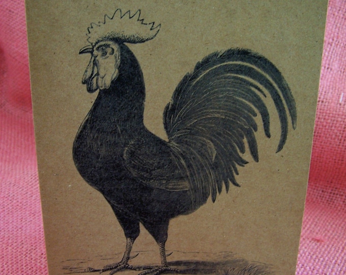 Proud Rooster SET OF ANY 3 Greeting Note Cards Invitations Brown Recycled Kraft Cardstock with matching envelope 5 x 7"