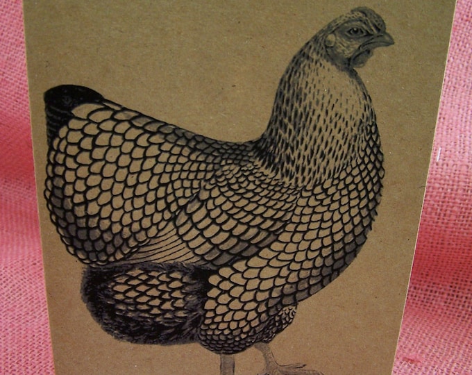 Hen Chicken Set of ANY 3 Greeting Note Cards Invitation Brown Recycled Kraft Cardstock with matching envelopes 5 x 7"