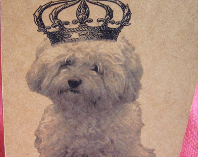 Poodle Maltipoo Malti-Poo Bichon Frise Dog With Crown Set of ANY 3 Greeting Note Cards Invitations Kraft Cardstock matching envelopes 5 x 7"