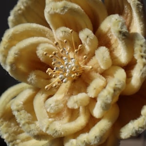 Pipe Cleaner Flower Bouquet, Handcrafted Flower Stem