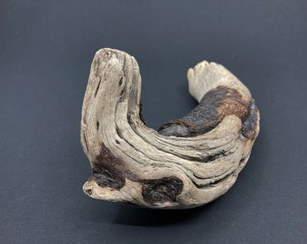 Natural Driftwood #26