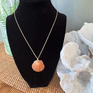 May include: A gold-colored chain necklace with a natural, orange-toned seashell pendant. The necklace is displayed on a black mannequin, with a white coral-like object in the background. The seashell pendant is a natural, organic shape.
