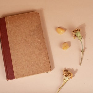 K&ouml;nnte beinhalten: Ein braunes Vintage-Buch mit rotem R&uuml;cken, zwei getrockneten Nelken und zwei kleinen, hellorangen Steinen auf einem hellbraunen Hintergrund.