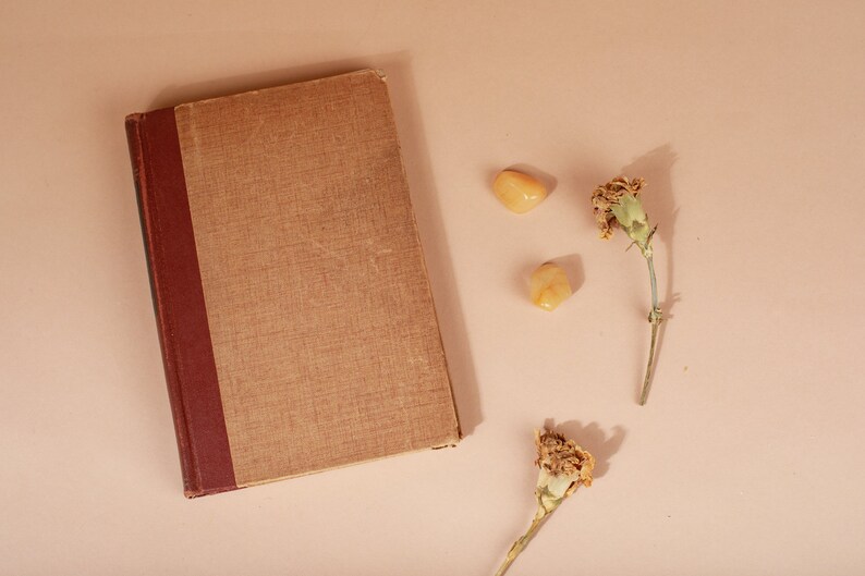 K&ouml;nnte beinhalten: Ein braunes Vintage-Buch mit rotem R&uuml;cken, zwei getrockneten Nelken und zwei kleinen, hellorangen Steinen auf einem hellbraunen Hintergrund.