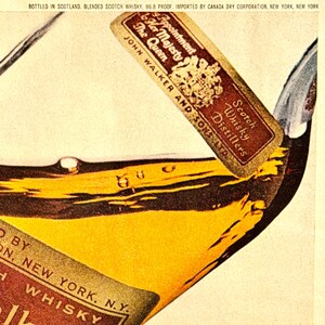 May include: Close-up of a whisky bottle with a brown and gold label. The label reads "John Walker and Sons" and "Scotch Whisky Distillers." The bottle contains amber-colored liquid. The text "Bottled in Scotland" is visible.