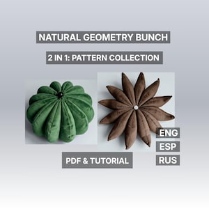 Natural Geometry Pattern Collection, 3D Cactus & Star Pillow PDF, 2 in 1 Bunch Tutorial, Designer Interior Objects, DIY Gift