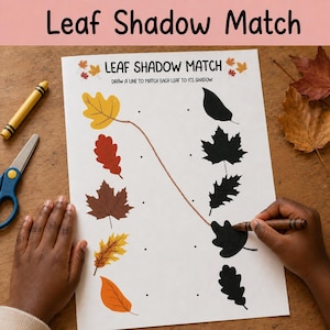 Könnte beinhalten: Ein weißes Lernarbeitsblatt mit dem Titel Leaf Shadow Match und der Anweisung Draw a line to match each leaf to its shadow. Das Blatt zeigt farbige Blattillustrationen auf der linken Seite und schwarze Silhouetten auf der rechten Seite.