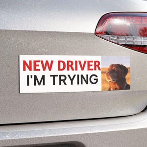 Peut inclure: Un autocollant rectangulaire pour pare-chocs à fond blanc avec le texte NEW DRIVER en rouge et I'M TRYING en noir. À droite du texte se trouve une photographie d'un chien brun regardant vers la gauche sur un arrière-plan extérieur flou.