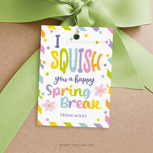 Etiqueta de presente Squish You a Happy Spring Break, etiquetas de brinquedo Squishy para presente de classe de aluno ou amigo - DOWNLOAD INSTANTÂNEO - PDF editável para impressão