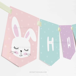 Bunny Birthday Banner, Easter Bunny Party Decorations, Little Rabbit Party - INSTANT DOWNLOAD - Printable PDF with Editable Text