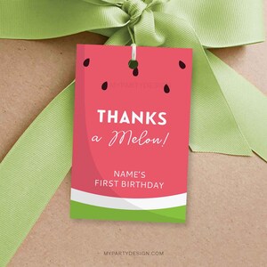 Watermelon Favor Tags, Thanks a Melon First Birthday Thank you Labels, Summer Girl Party Decor - INSTANT DOWNLOAD - Printable Editable PDF
