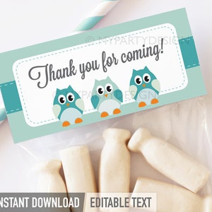 Owl Baby Shower Favors, Thank You Labels, Party Favors Bag Toppers, Boy BabyShower - INSTANT DOWNLOAD - Printable PDF with Editable Text