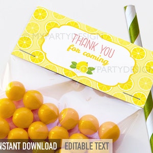 Lemonade Favor Tags, Lemonade Party Decorations, Printable Treat bag Labels INSTANT DOWNLOAD Printable PDF with Editable Text image 1