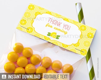 Lemonade Favor Tags, Lemonade Party Decorations, Printable Treat bag Labels - INSTANT DOWNLOAD - Printable PDF with Editable Text