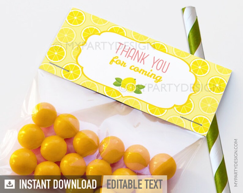 Lemonade Favor Tags, Lemonade Party Decorations, Printable Treat bag Labels INSTANT DOWNLOAD Printable PDF with Editable Text image 1