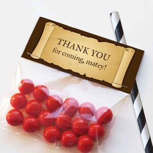 Pirate Favor Tags, Pirate Party Decorations, Party Favors, Thank you Labels - INSTANT DOWNLOAD - Printable PDF with Editable Text