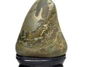 May include: A smooth, triangular-shaped stone with a mottled surface featuring shades of olive green, brown, and cream. The stone displays natural swirling patterns and dark inclusions throughout its body and rests on a black wooden display stand.