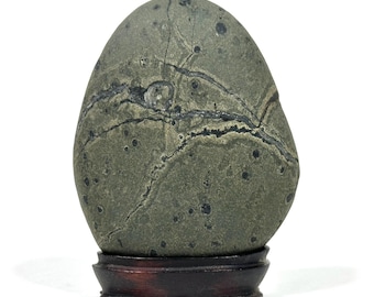 Puede incluir: Una piedra lisa de forma ovalada con una superficie moteada verde y gris, con vetas y manchas oscuras. La piedra se exhibe sobre un soporte de madera marrón oscuro, creando una estética natural y terrosa.